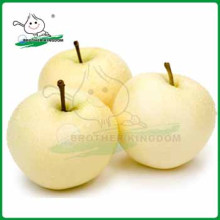 Sell crown pear/fresh crown pear/Chinese crown pear